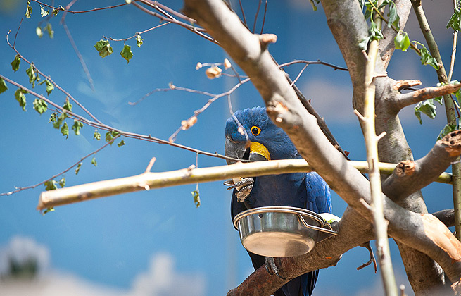 在线短信电话轰炸机