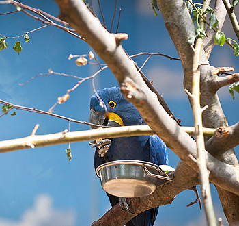 手机号验证码轰炸平台