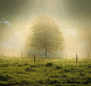 【离线完整版】永久使用的超强短信测压