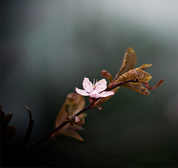 手机号测压下载