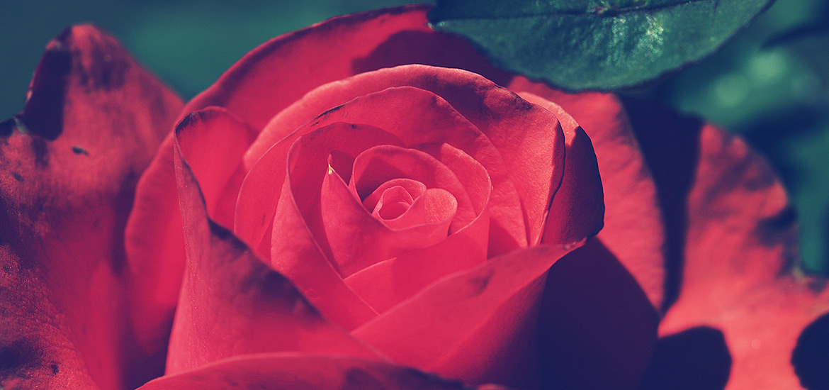 手机号码轰炸app免费